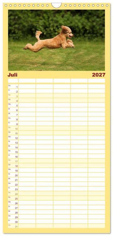 Produktbild: Familienplaner 2027 - Lockenw&ouml;lfe - Energieb&uuml;ndel Pudel mit 5 Spalten (Wandkalender, 21 x 45 cm) CALVENDO