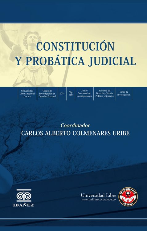 Produktbild: Constituci&oacute;n y prob&aacute;tica judicial