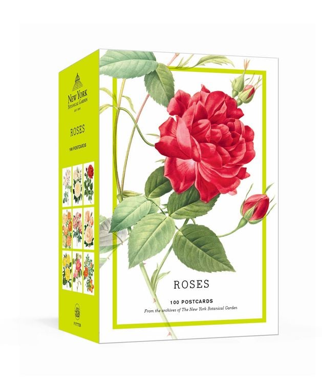 Produktbild: Roses