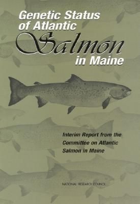 Produktbild: Genetic Status of Atlantic Salmon in Maine