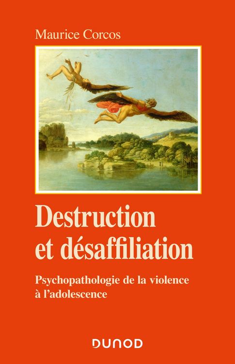 Produktbild: Destruction et d&eacute;saffiliation