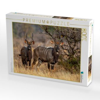Produktbild: CALVENDO Puzzle Nyala Antilopen in der Savanne | 1000 Teile Lege-Gr&ouml;&szlig;e 64x48cm Foto-Puzzle f&uuml;r gl&uuml;ckliche Stunden