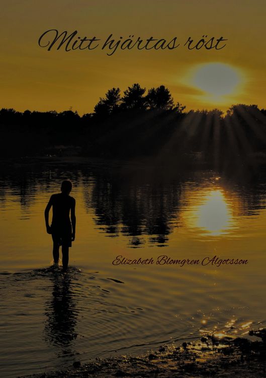 Produktbild: The Believer's Experience
