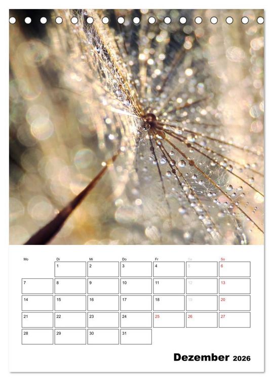 Produktbild: Zauberhafte Bl&uuml;tenwelt / Planer (Tischkalender 2026 DIN A5 hoch), CALVENDO Monatskalender