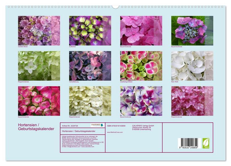 Produktbild: Hortensien / Geburtstagskalender (hochwertiger Premium Wandkalender 2026 DIN A2 quer), Kunstdruck in Hochglanz