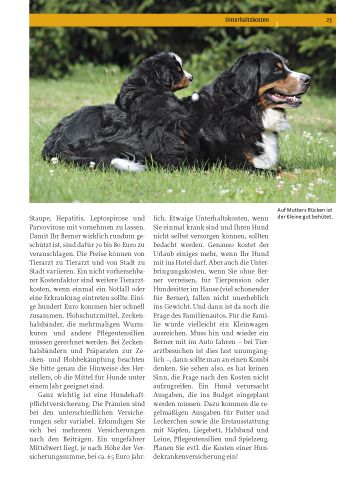 Produktbild: Berner Sennenhund