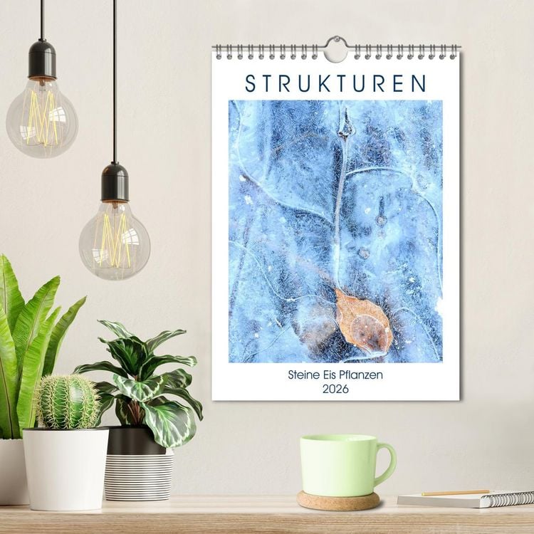 Produktbild: Strukturen - Steine, Eis, Pflanzen (Wandkalender 2026 DIN A4 hoch), CALVENDO Monatskalender