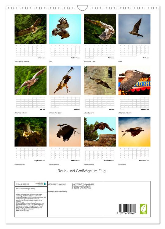 Produktbild: Raub- und Greifv&ouml;gel im Flug (Wandkalender 2026 DIN A3 hoch), CALVENDO Monatskalender