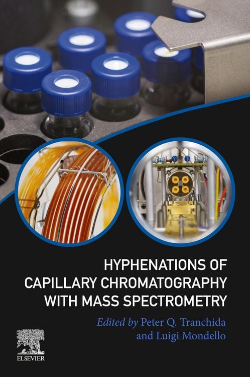 Produktbild: Hyphenations of Capillary Chromatography with Mass Spectrometry
