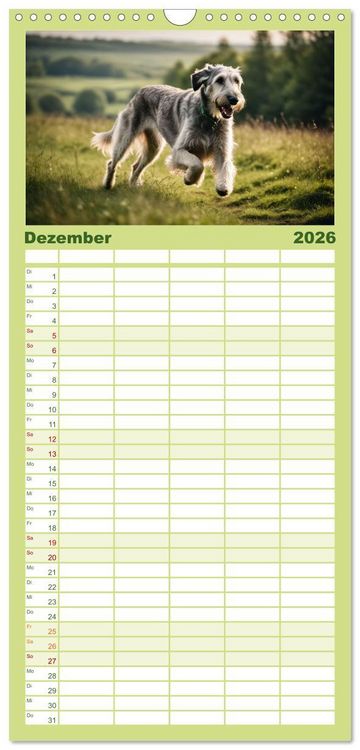 Produktbild: Familienplaner 2026 - Windhunde im Portrait mit 5 Spalten (Wandkalender, 21 x 45 cm) CALVENDO