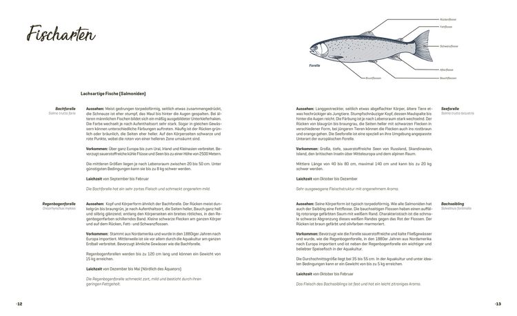 Produktbild: Fisch echt einfach