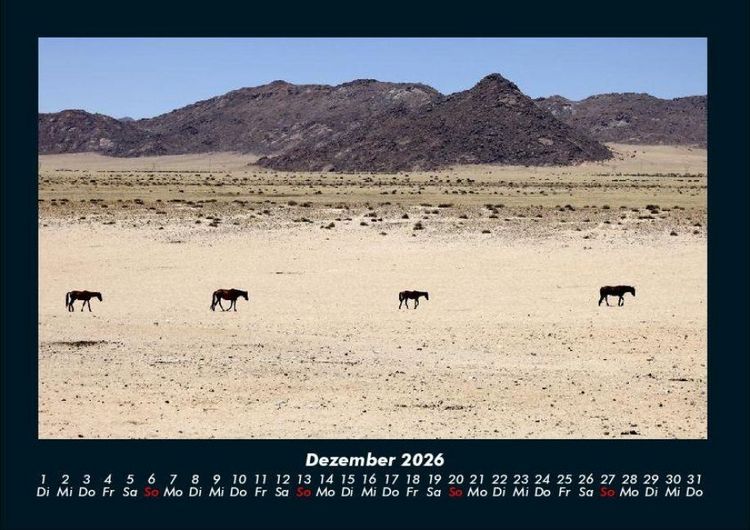 Produktbild: Pferdegefl&uuml;ster 2026 Fotokalender DIN A4