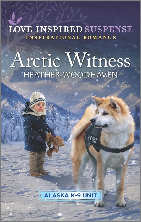 Produktbild: Arctic Witness