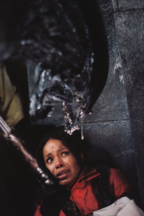 Produktbild: Alien vs. Predator
