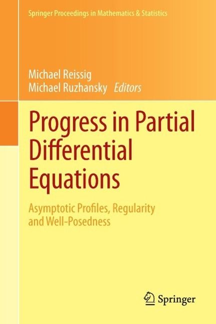 Produktbild: Progress in Partial Differential Equations
