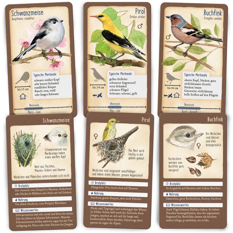 Produktbild: Tour durch die Natur - 50 heimische Singv&ouml;gel