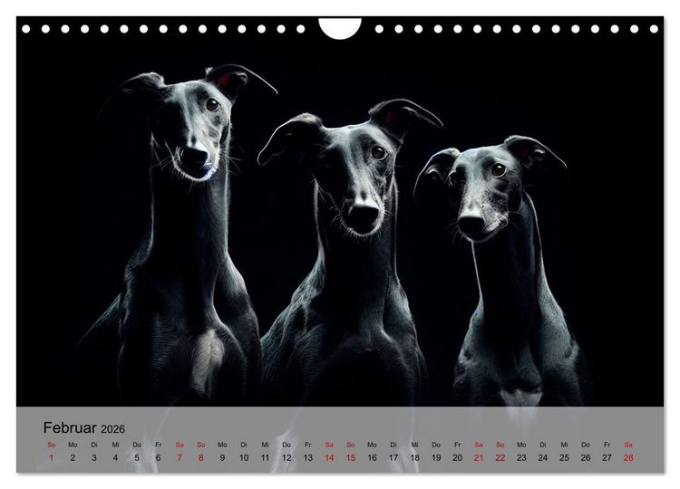 Produktbild: Black is beautiful (Wandkalender 2026 DIN A4 quer), CALVENDO Monatskalender