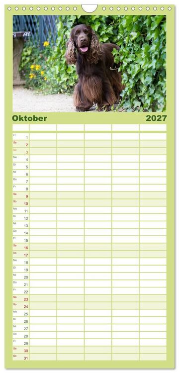 Produktbild: Familienplaner 2027 - English Cocker Spaniel - Fr&ouml;hliche Gesellen mit 5 Spalten (Wandkalender, 21 x 45 cm) CALVENDO