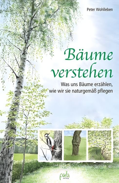 Produktbild: B&auml;ume verstehen