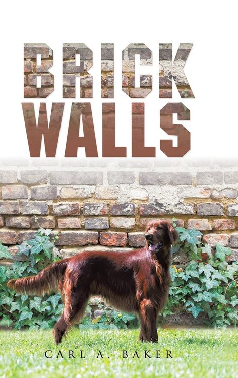 Produktbild: Brick Walls