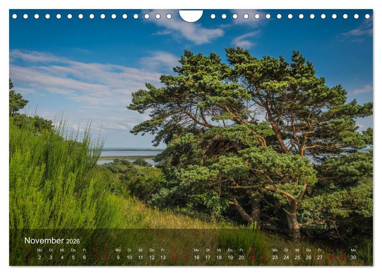 Produktbild: Insel Hiddensee - Wildromantisch unber&uuml;hrt (Wandkalender 2026 DIN A4 quer), CALVENDO Monatskalender