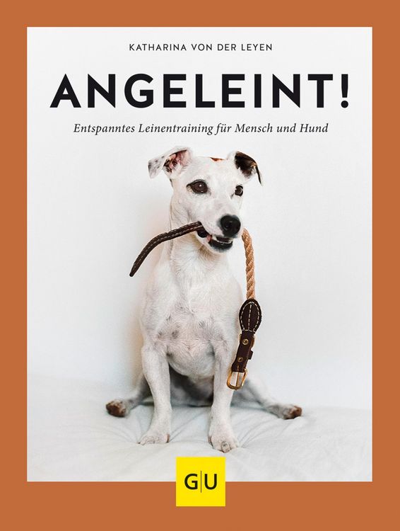 Produktbild: Angeleint!