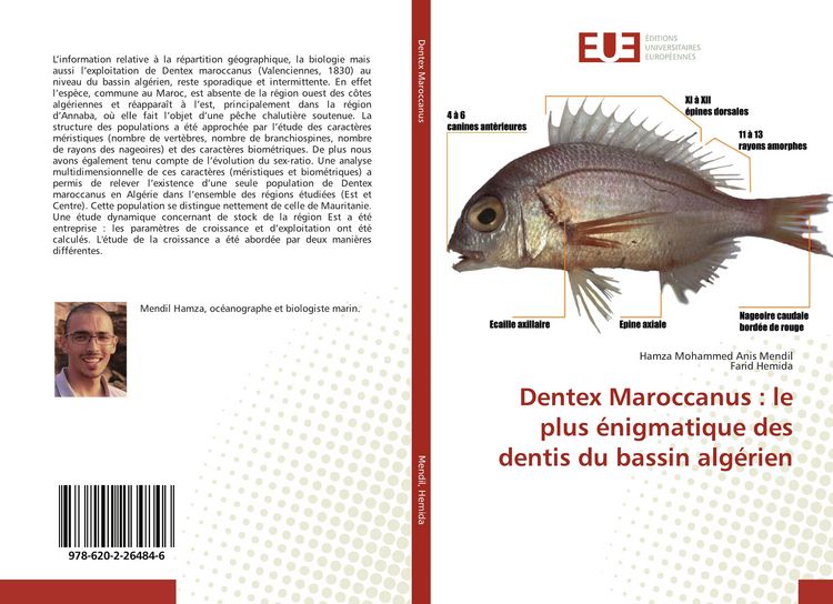 Produktbild: Dentex Maroccanus : le plus &eacute;nigmatique des dentis du bassin alg&eacute;rien
