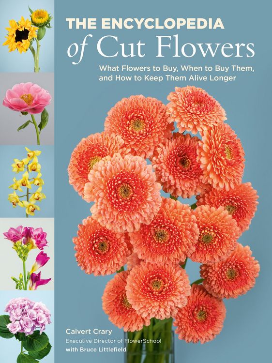 Produktbild: The Encyclopedia of Cut Flowers