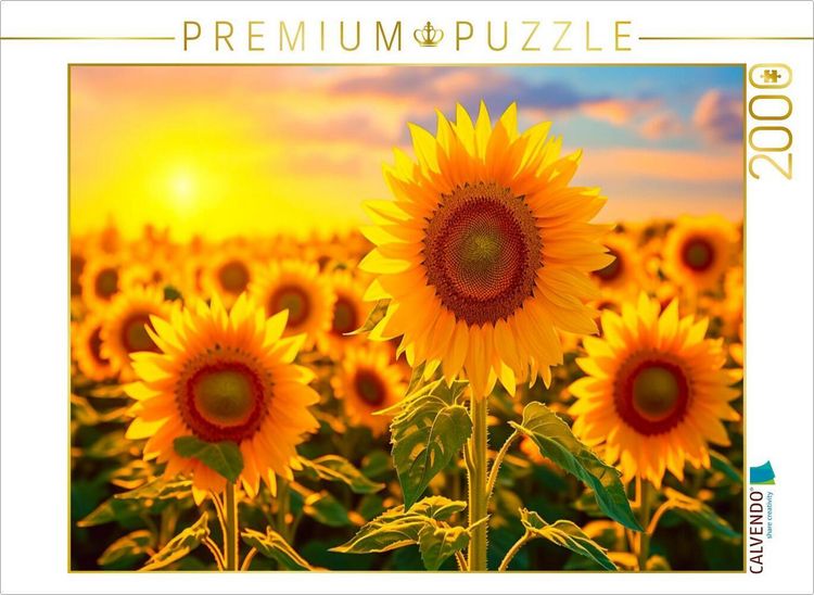 Produktbild: CALVENDO Puzzle Ein Motiv aus dem Kalender Meditation und innerer Frieden | 2000 Teile Lege-Gr&ouml;&szlig;e 90x67cm Foto-Puzzle f&uuml;r gl&uuml;ckliche Stunden