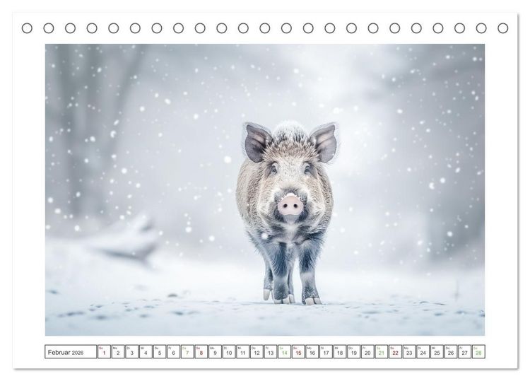 Produktbild: Naturparadies Wald (Tischkalender 2026 DIN A5 quer), CALVENDO Monatskalender