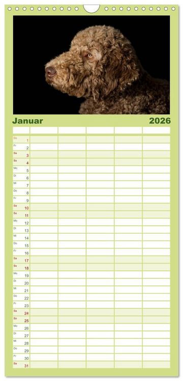 Produktbild: Familienplaner 2026 - Pudel mit 5 Spalten (Wandkalender, 21 x 45 cm) CALVENDO