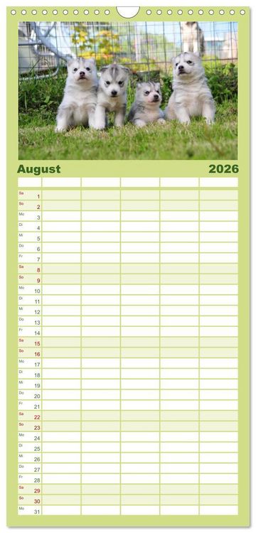 Produktbild: Familienplaner 2026 - Siberian Husky - der Urtyp mit 5 Spalten (Wandkalender, 21 x 45 cm) CALVENDO