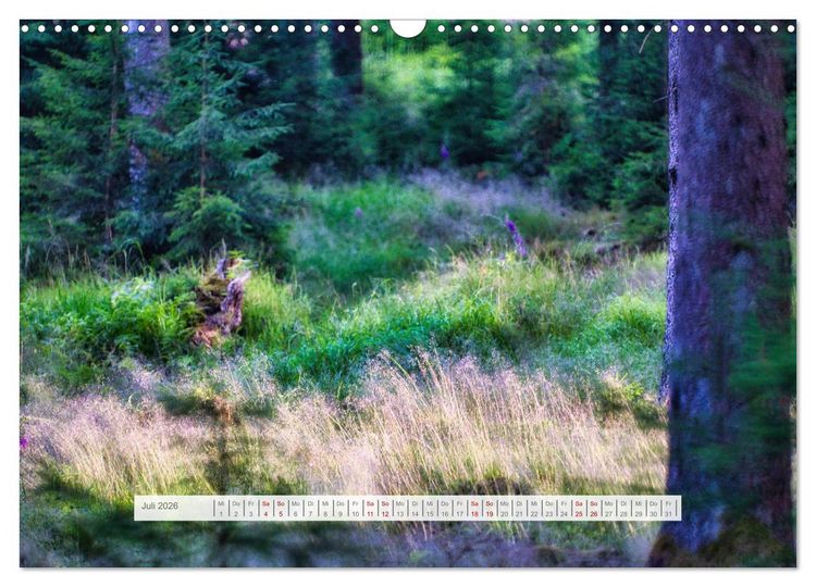 Produktbild: Traumhafte Waldstimmung am Rennsteig im Th&uuml;ringer Wald (Wandkalender 2026 DIN A3 quer), CALVENDO Monatskalender