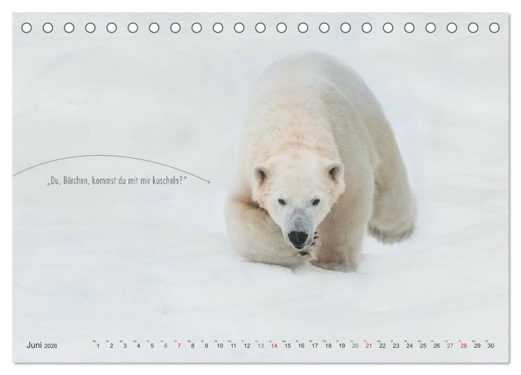 Produktbild: Emotionale Momente: Eisb&auml;ren - ganz menschlich gesehen. (Tischkalender 2026 DIN A5 quer), CALVENDO Monatskalender
