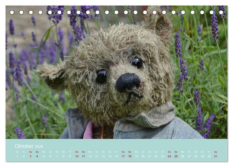 Produktbild: Robin der B&auml;r (Tischkalender 2026 DIN A5 quer), CALVENDO Monatskalender
