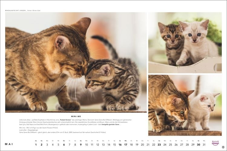 Produktbild: Whiskas Katzenkalender 2027