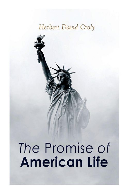 Produktbild: The Promise of American Life