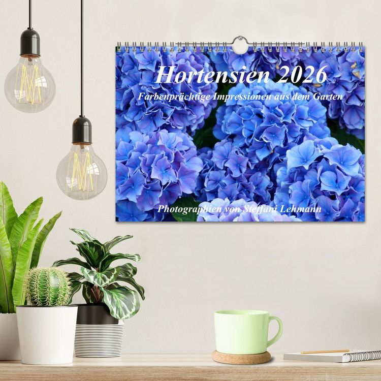 Produktbild: Hortensien 2026. Farbenpr&auml;chtige Impressionen aus dem Garten (Wandkalender 2026 DIN A4 quer), CALVENDO Monatskalender