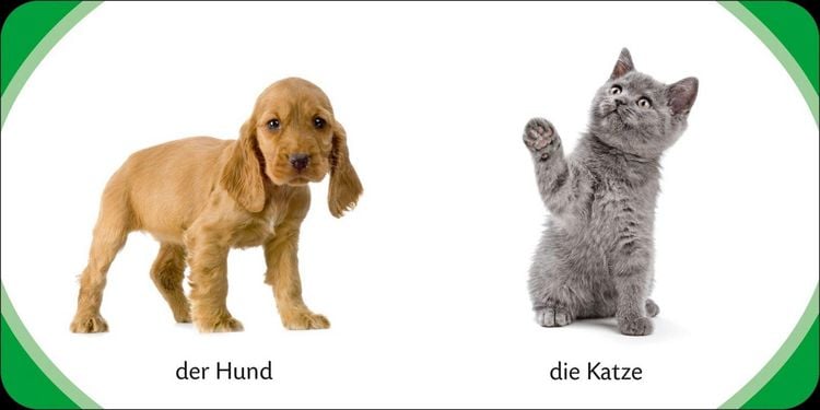 Produktbild: Duden 12+: Kennst du das? Meine bunte Kinderwelt (W&uuml;rfel)