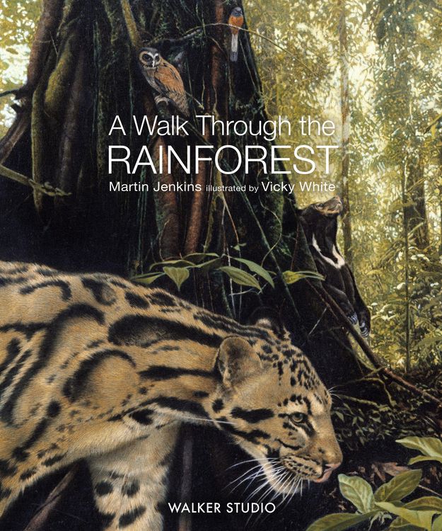 Produktbild: A Walk Through the Rainforest