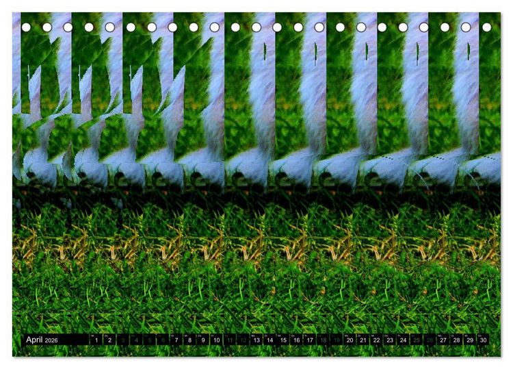 Produktbild: Magische Bilder - 3D Stereogramme (Tischkalender 2026 DIN A5 quer), CALVENDO Monatskalender