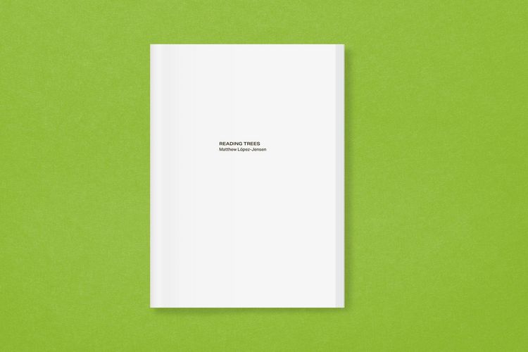 Produktbild: New York City Street Tree Tarot