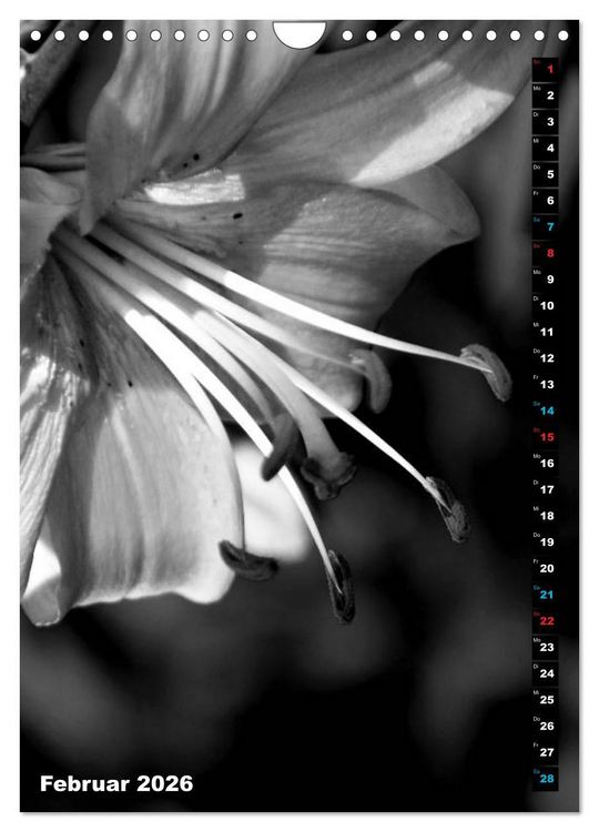 Produktbild: Blumige Graustufen - Schwarz und Wei&szlig; (Wandkalender 2026 DIN A4 hoch), CALVENDO Monatskalender