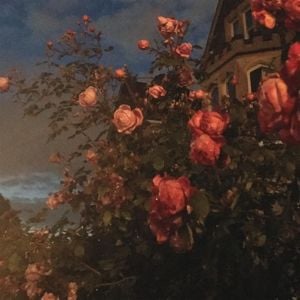 Produktbild: Love