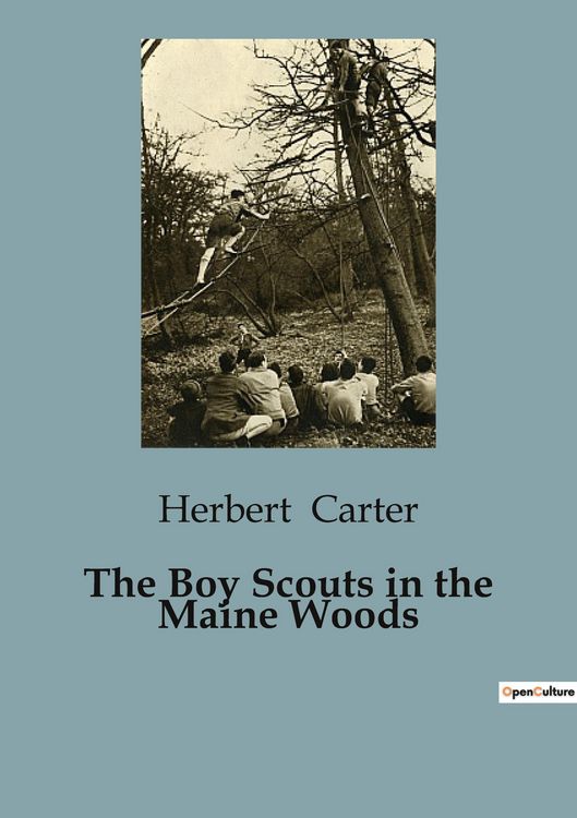 Produktbild: The Boy Scouts in the Maine Woods