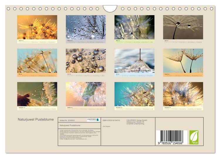 Produktbild: Naturjuwel Pusteblume (Wandkalender 2026 DIN A4 quer), CALVENDO Monatskalender