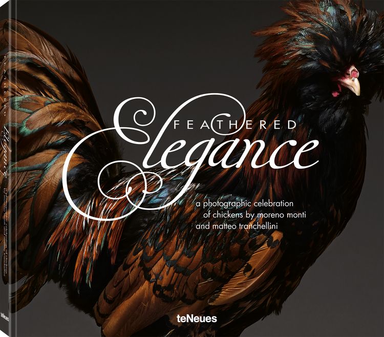Produktbild: Feathered Elegance