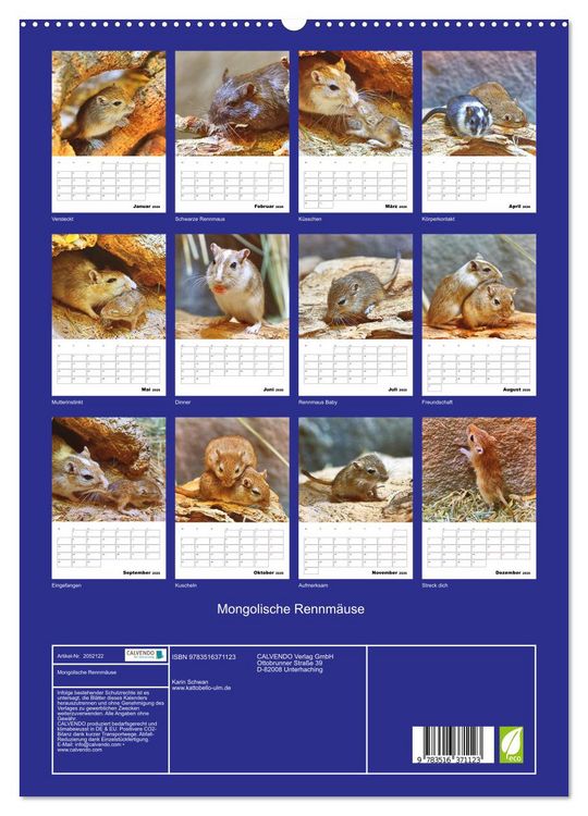 Produktbild: Mongolische Rennm&auml;use (hochwertiger Premium Wandkalender 2026 DIN A2 hoch), Kunstdruck in Hochglanz