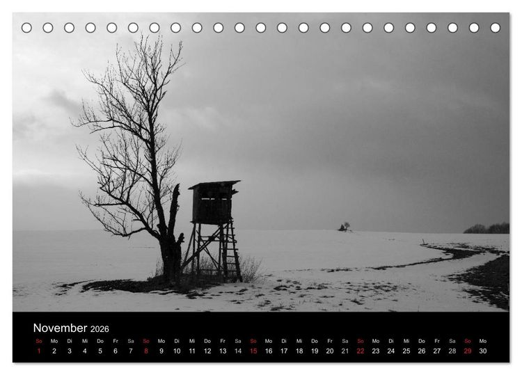 Produktbild: B&auml;ume trees 2026 (Tischkalender 2026 DIN A5 quer), CALVENDO Monatskalender