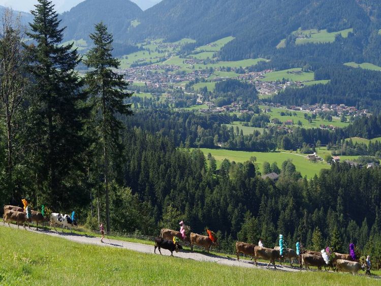 Produktbild: CALVENDO Puzzle Auf dem Weg durch das "S&ouml;lllandl" | 1000 Teile Lege-Gr&ouml;&szlig;e 64x48cm Foto-Puzzle f&uuml;r gl&uuml;ckliche Stunden